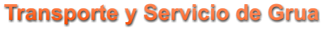 Transporte y Servicio de Grua
